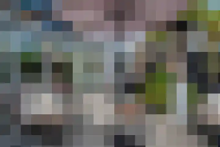 Coronastraat 10 Groningen thumbnail 25