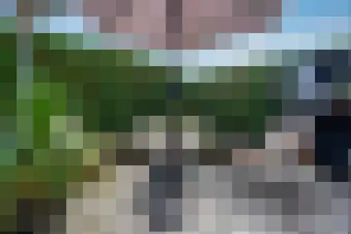 Coronastraat 10 Groningen thumbnail 28