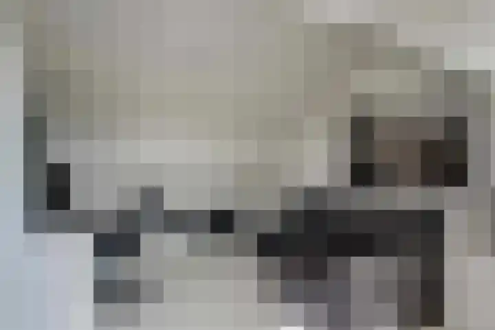Coronastraat 10 Groningen thumbnail 36