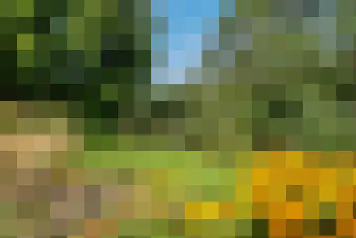 Coronastraat 10 Groningen thumbnail 43