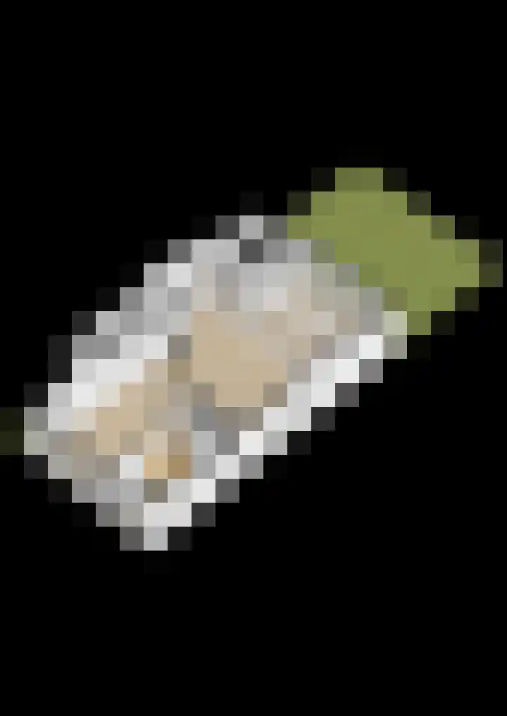 Coronastraat 10 Groningen thumbnail 49