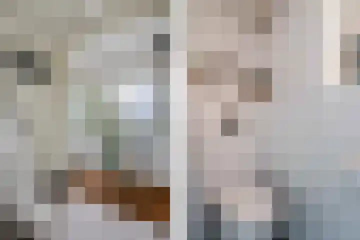Coronastraat 10 Groningen thumbnail 6