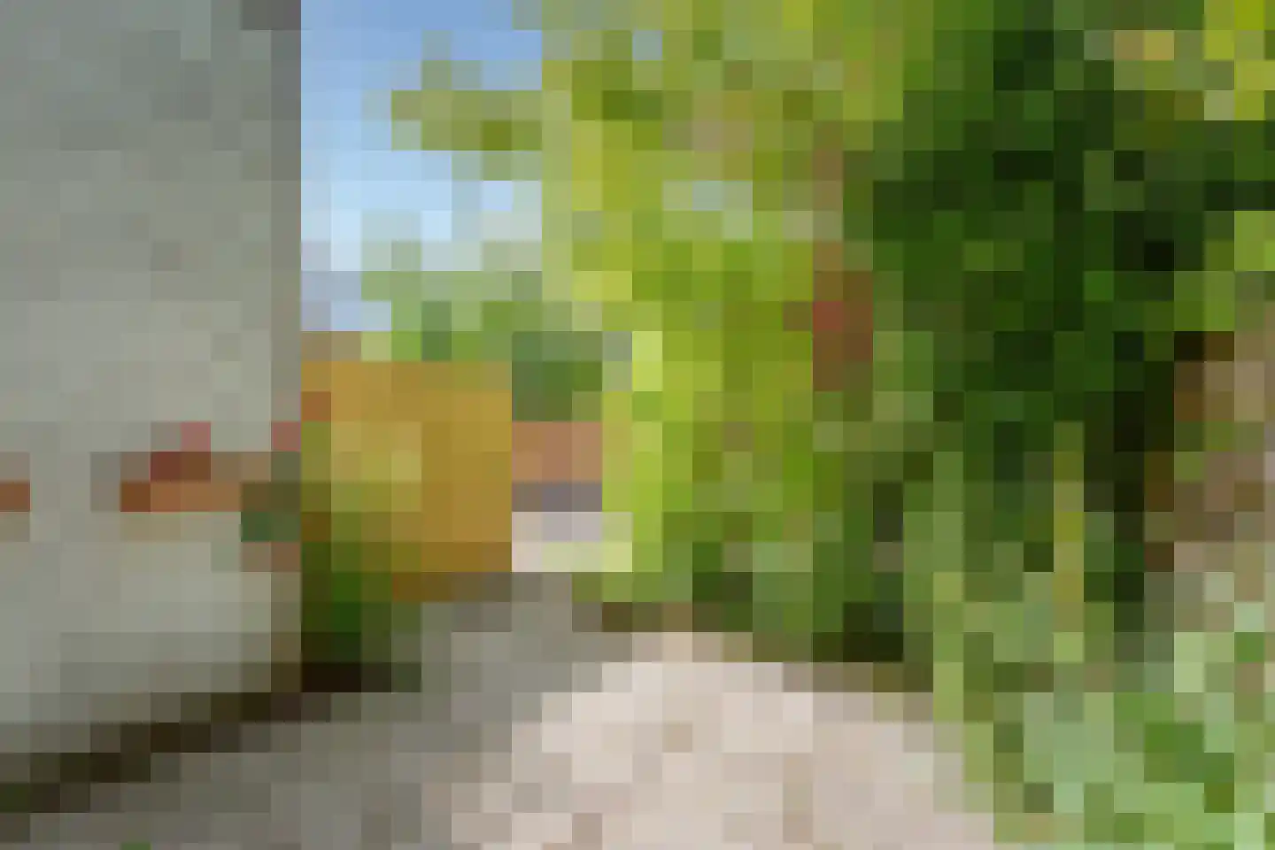 Coronelstraat 29 Amsterdam thumbnail 11