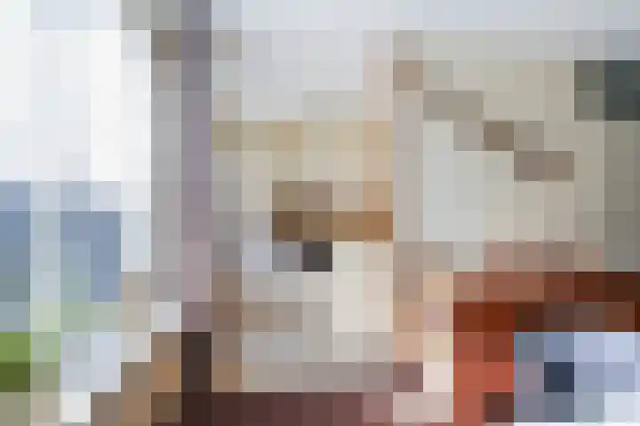 Corpus 23 Boxtel thumbnail 16