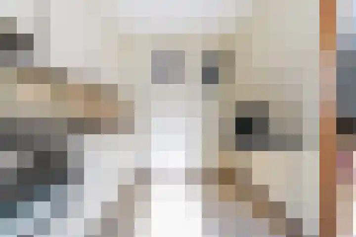 Corpus 23 Boxtel thumbnail 20