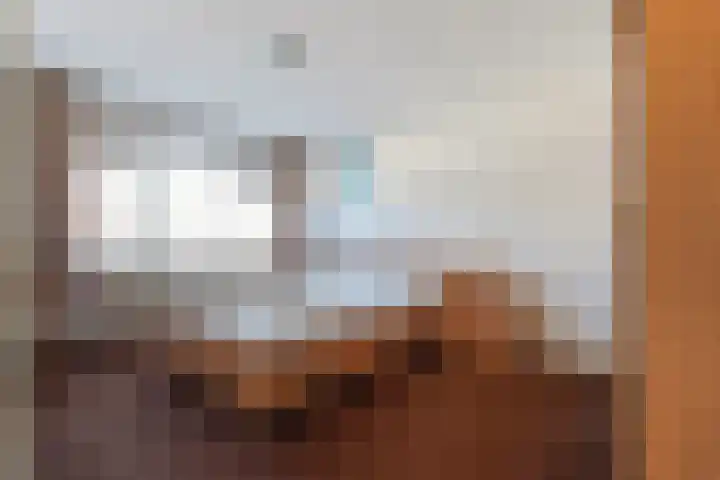 Corpus 23 Boxtel thumbnail 25