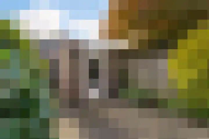 Corpus 23 Boxtel thumbnail 38