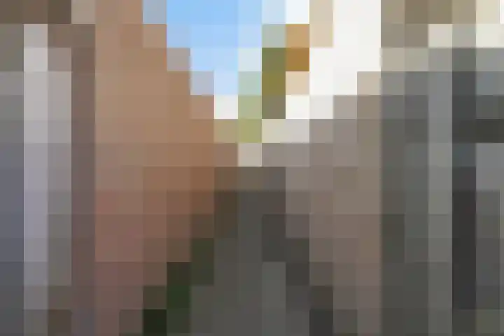 Corpus 23 Boxtel thumbnail 42
