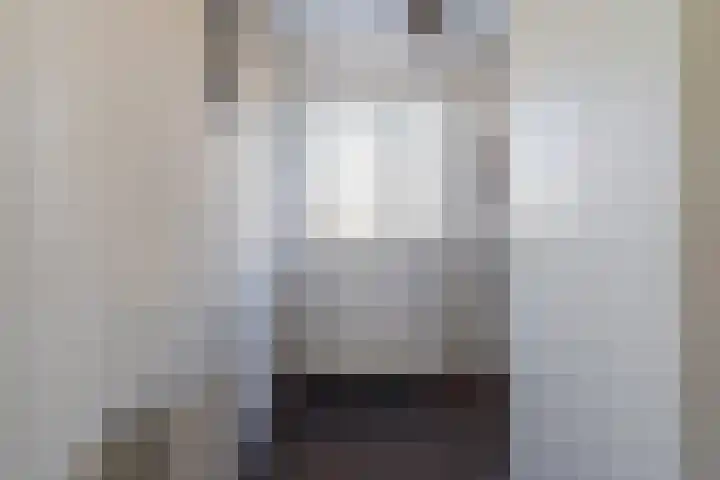 Corpus 23 Boxtel thumbnail 5