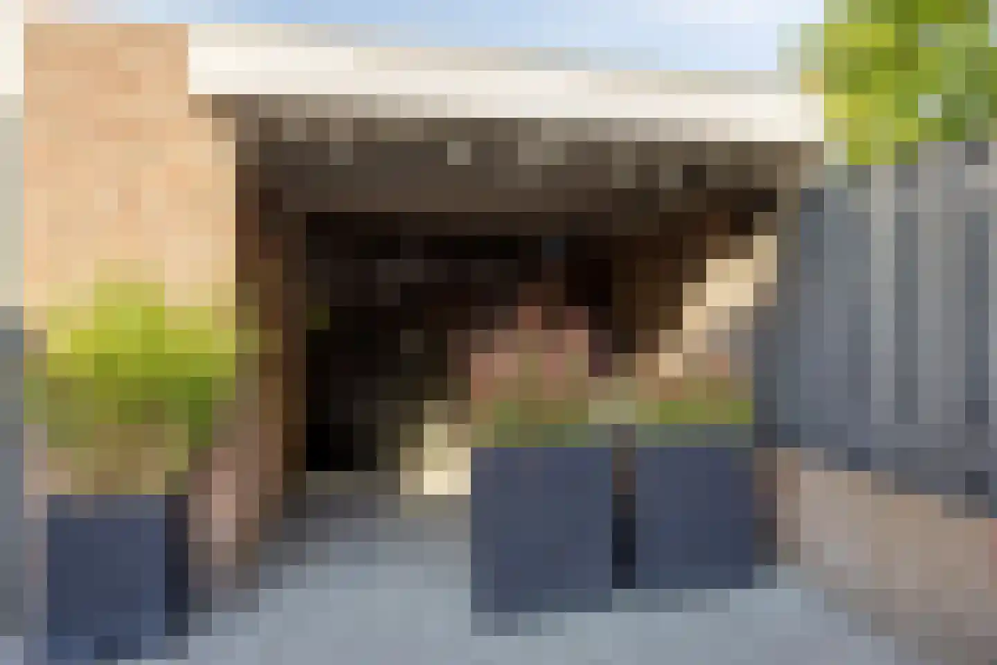 Corpus 32 Boxtel thumbnail 32