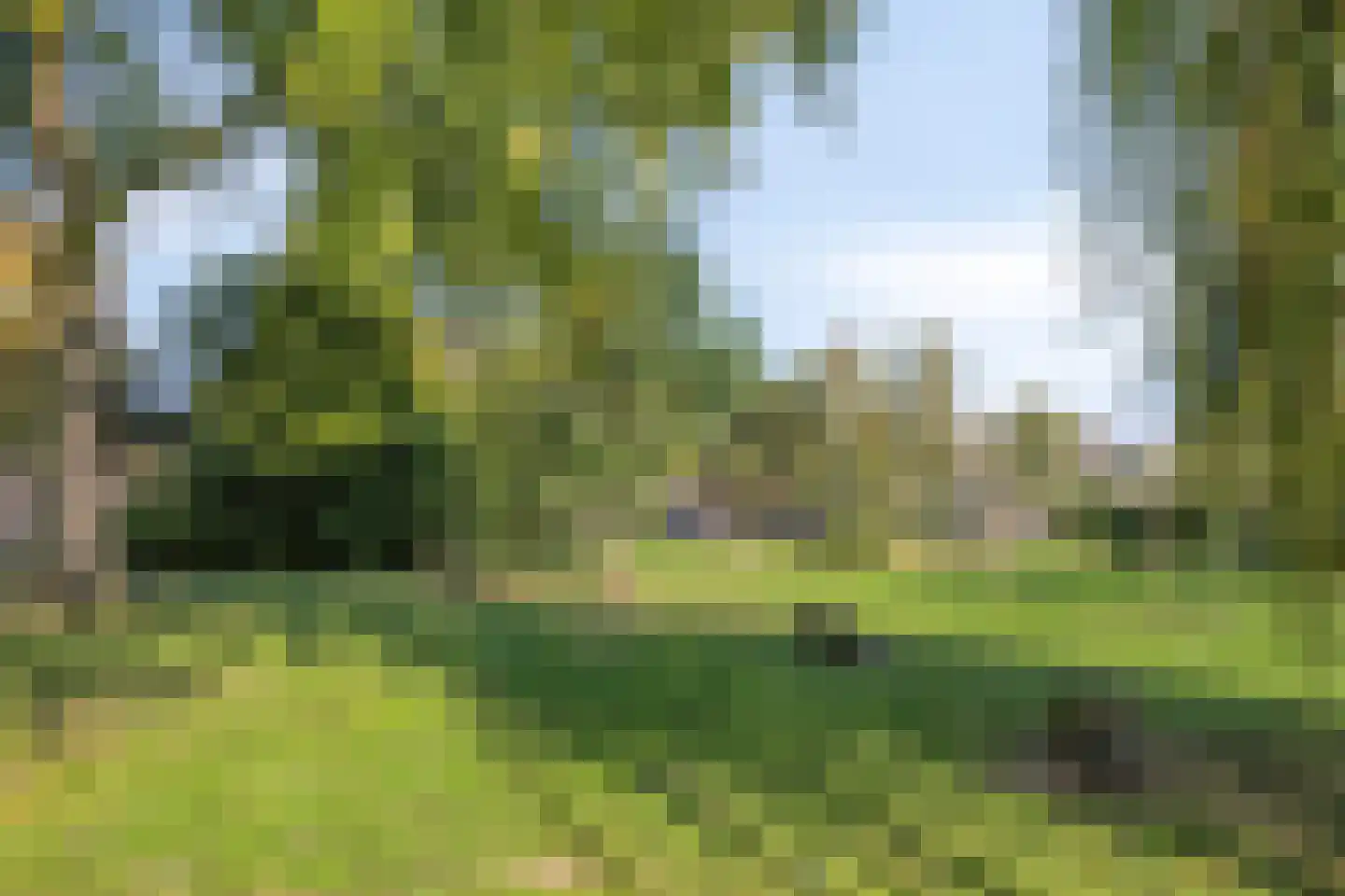 Corpus 32 Boxtel thumbnail 36