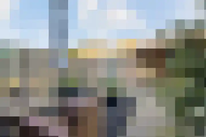 Corpus 56 Boxtel thumbnail 42