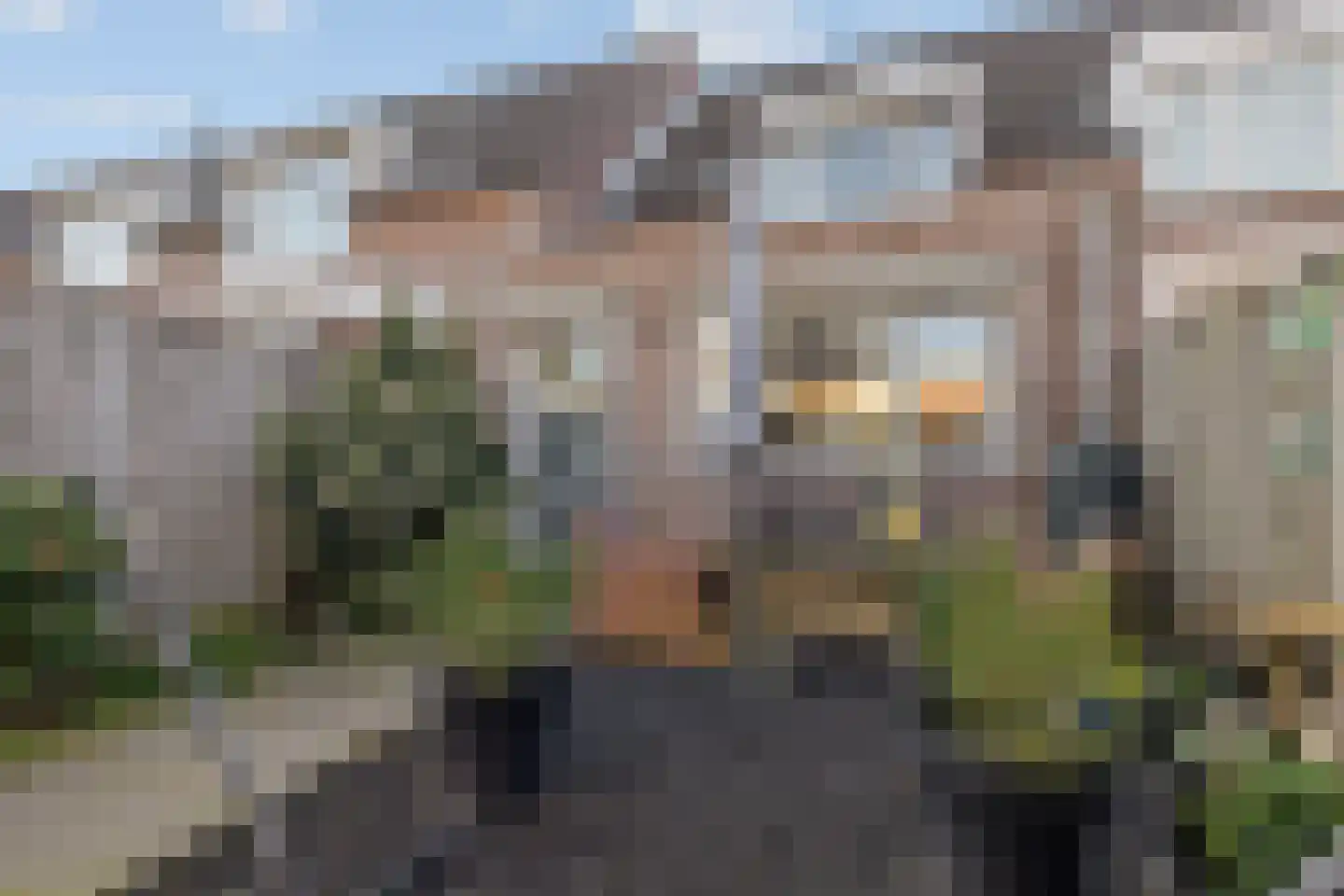Corpus 56 Boxtel thumbnail 45