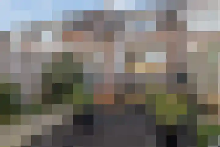 Corpus 56 Boxtel thumbnail 45