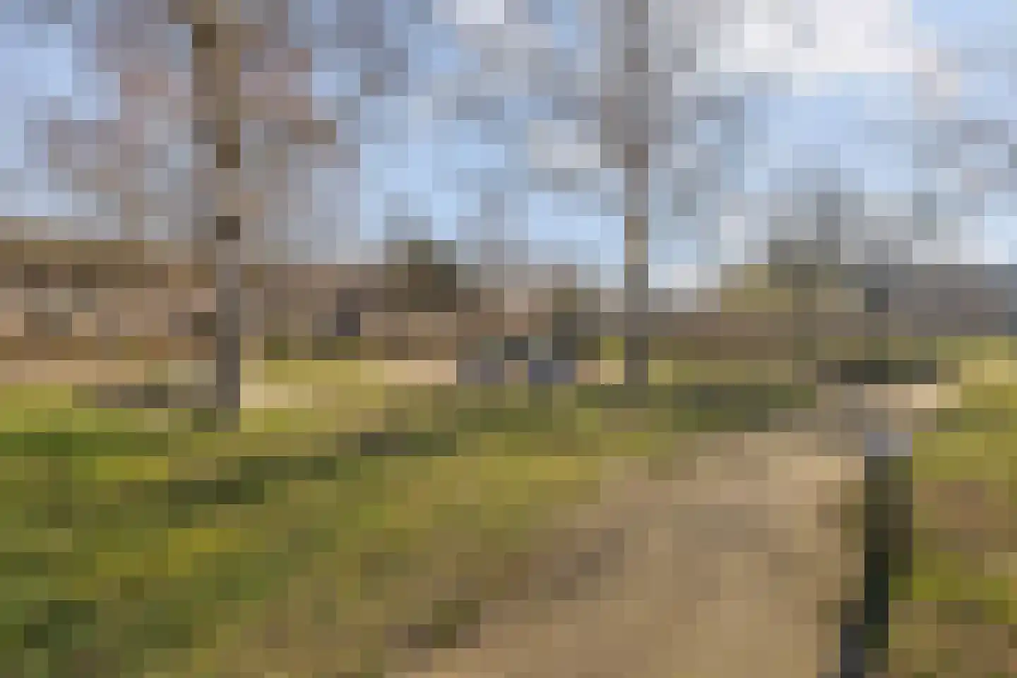 Corpus 56 Boxtel thumbnail 46