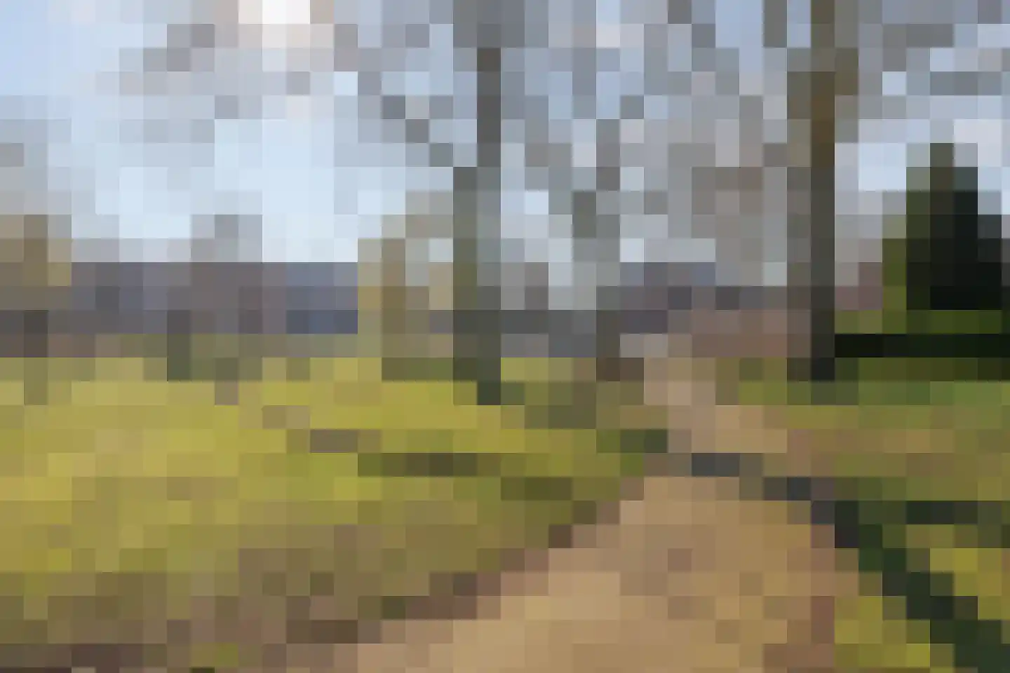 Corpus 56 Boxtel thumbnail 47