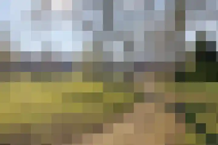 Corpus 56 Boxtel thumbnail 47