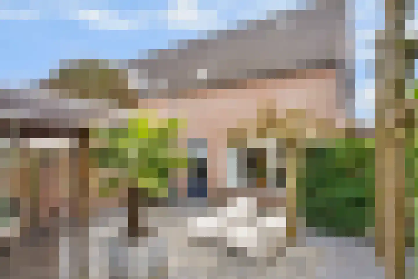 Corpus 60 Boxtel thumbnail 18