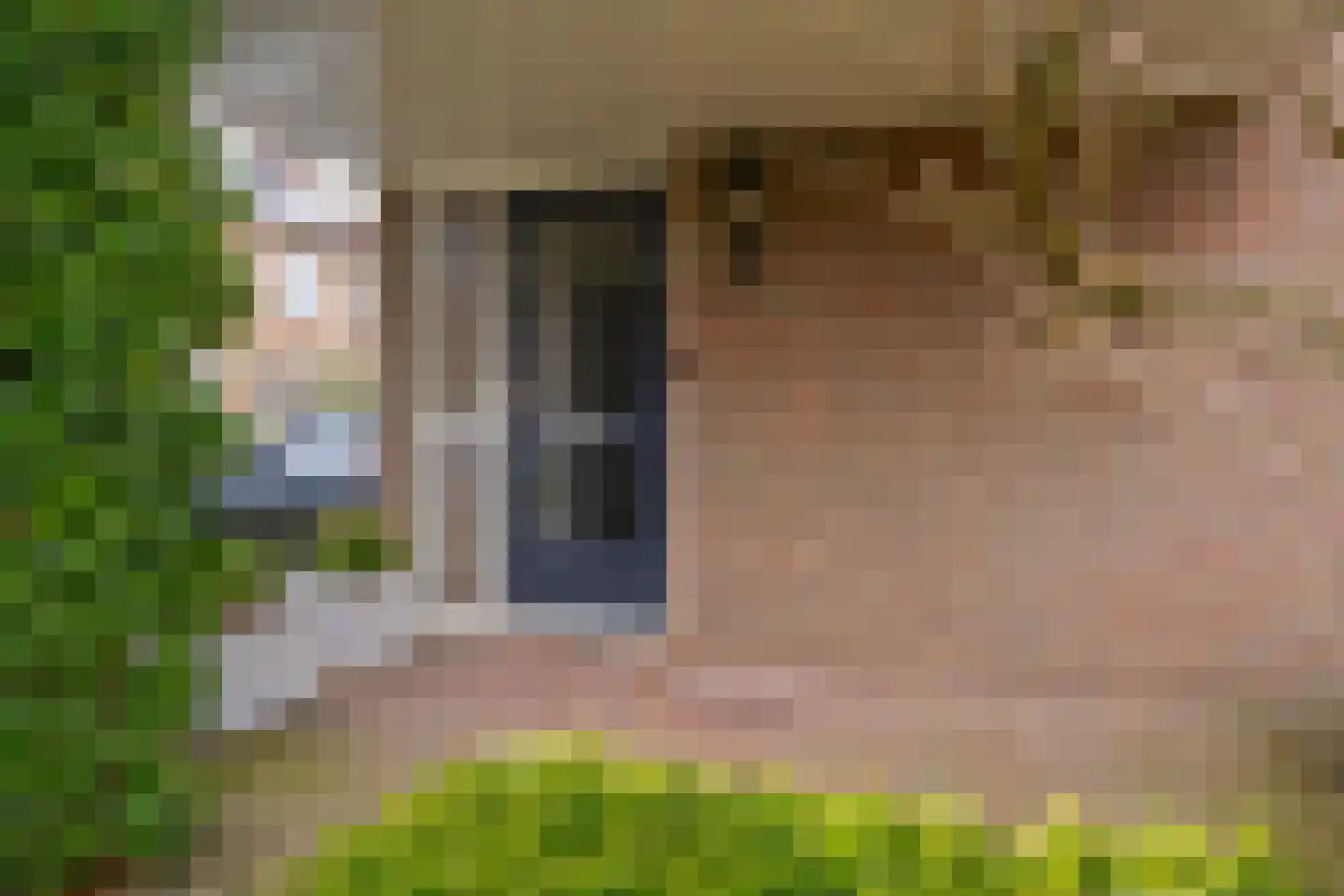 Corpus 60 Boxtel thumbnail 37