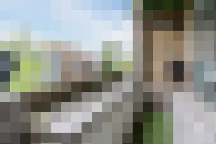 Corridor 2 C Valkenswaard thumbnail 14