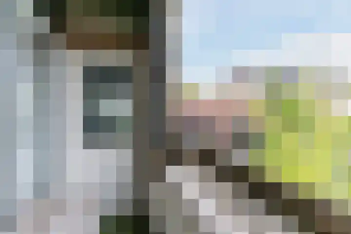 Corridor 2 C Valkenswaard thumbnail 4