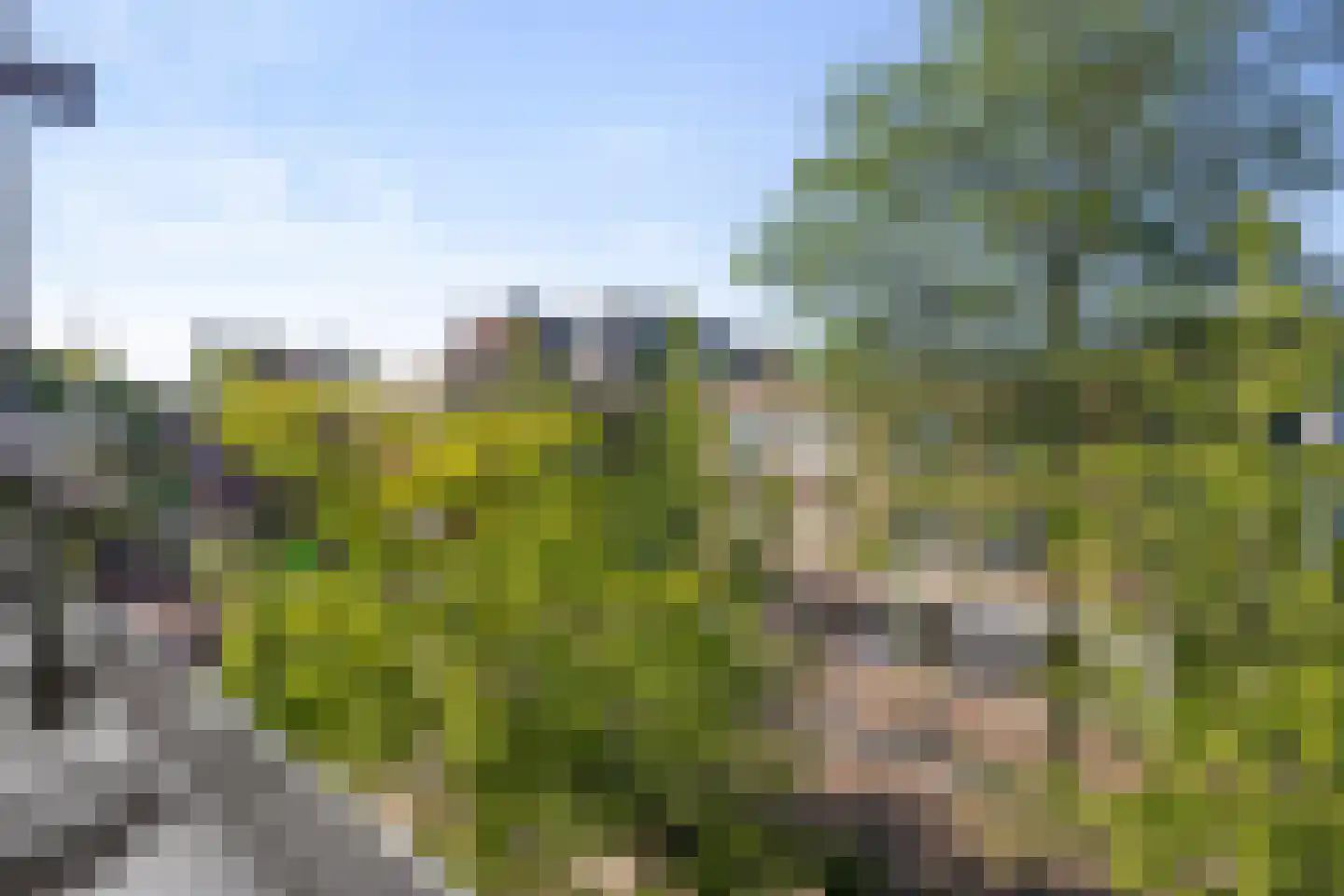 Corridor 2 F Valkenswaard thumbnail 21