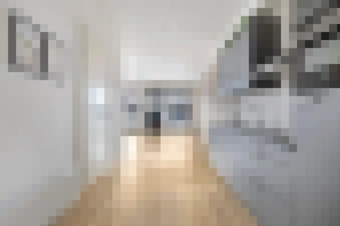 Corridor 37 C Valkenswaard thumbnail 7