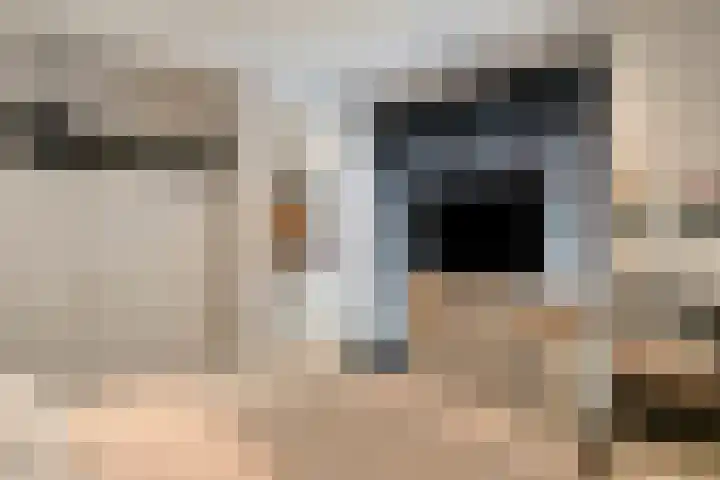 Corridor 37 Valkenswaard thumbnail 17