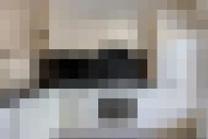 Corridor 38 Valkenswaard thumbnail 15