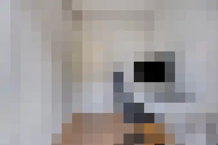 Corridor 38 Valkenswaard thumbnail 36