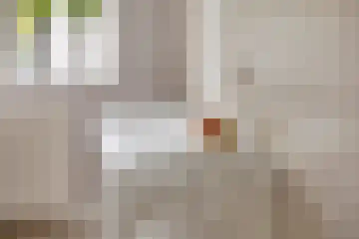 Corridor 43 Valkenswaard thumbnail 21