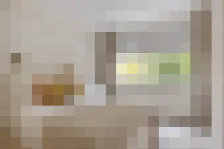 Corridor 43 Valkenswaard thumbnail 24