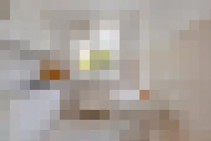 Corridor 43 Valkenswaard thumbnail 4