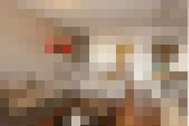 Corridor 55 Valkenswaard thumbnail 7
