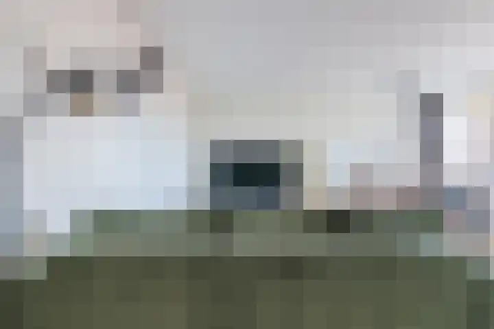 Corridor 71 Valkenswaard thumbnail 10