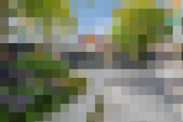 Corridor 71 Valkenswaard thumbnail 28