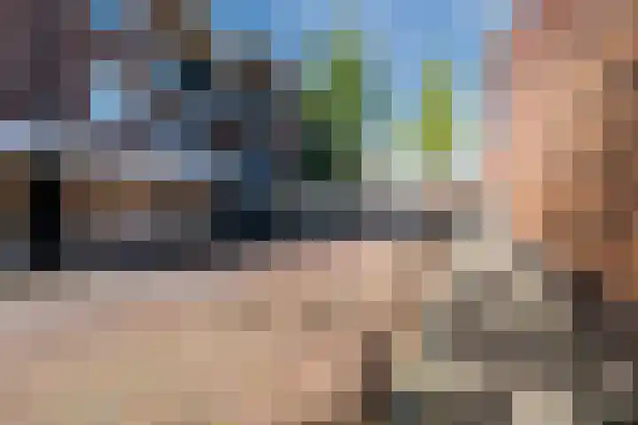 Corridor 71 Valkenswaard thumbnail 30