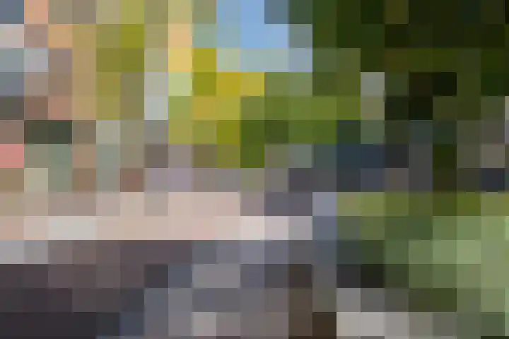 Corridor 71 Valkenswaard thumbnail 33