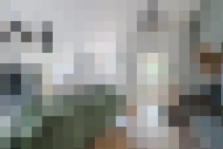 Corridor 71 Valkenswaard thumbnail 9