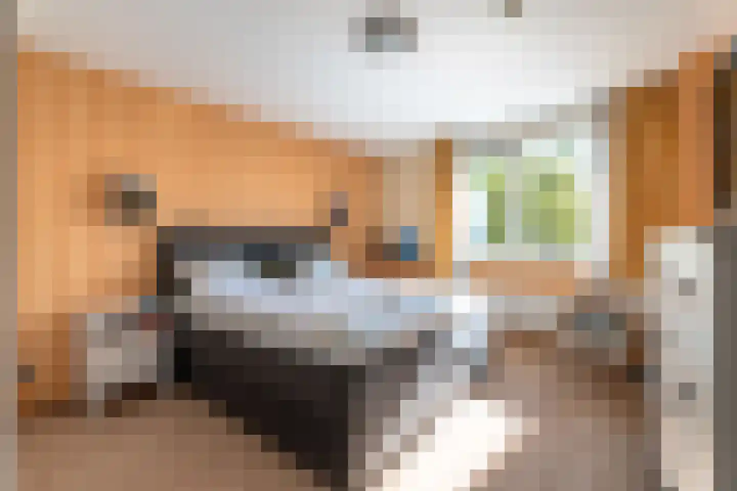 Corrie Vonkplantsoen 25 Spijkenisse thumbnail 27
