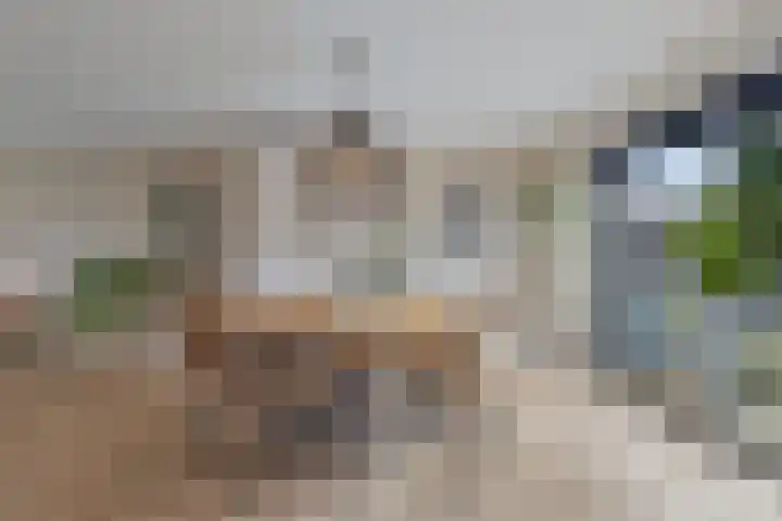 Corrie Vonkplantsoen 31 Spijkenisse thumbnail 11