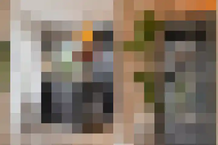 Corrie Vonkplantsoen 31 Spijkenisse thumbnail 13