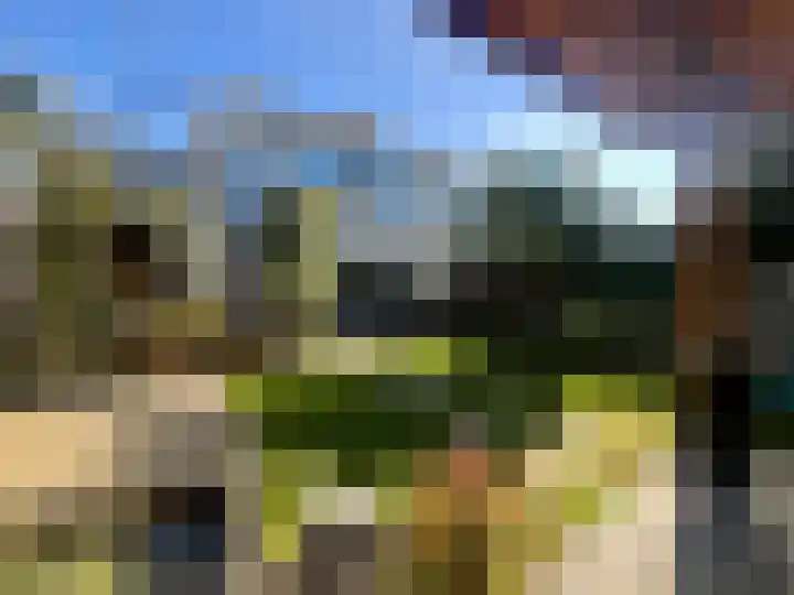 Corrie Vonkplantsoen 31 Spijkenisse thumbnail 19
