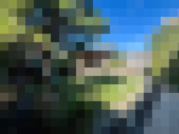 Corrie Vonkplantsoen 31 Spijkenisse thumbnail 21