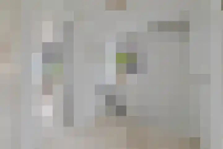 Corrie Vonkplantsoen 31 Spijkenisse thumbnail 22
