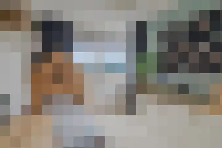 Corrie Vonkplantsoen 31 Spijkenisse thumbnail 31