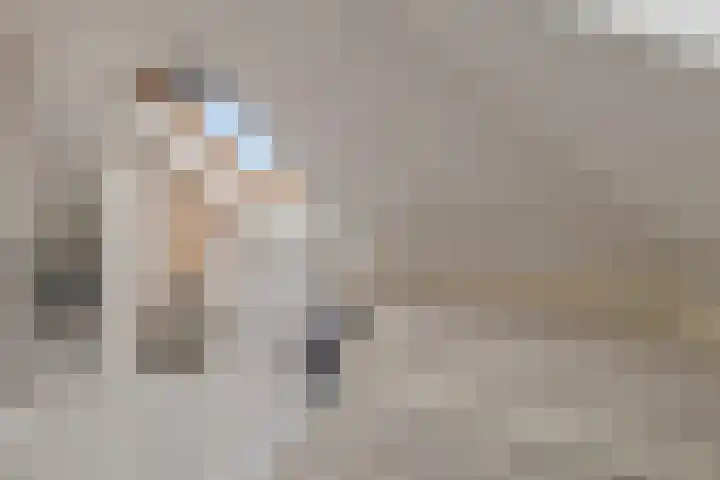 Corrie Vonkplantsoen 31 Spijkenisse thumbnail 36