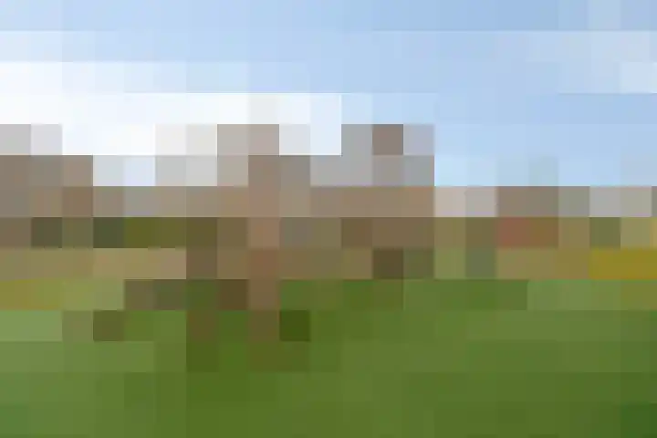 Corrie Vonkplantsoen 31 Spijkenisse thumbnail 38