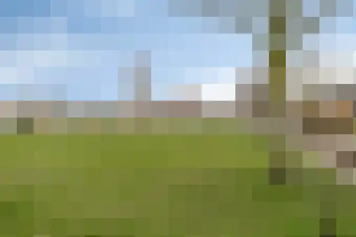 Corrie Vonkplantsoen 31 Spijkenisse thumbnail 39