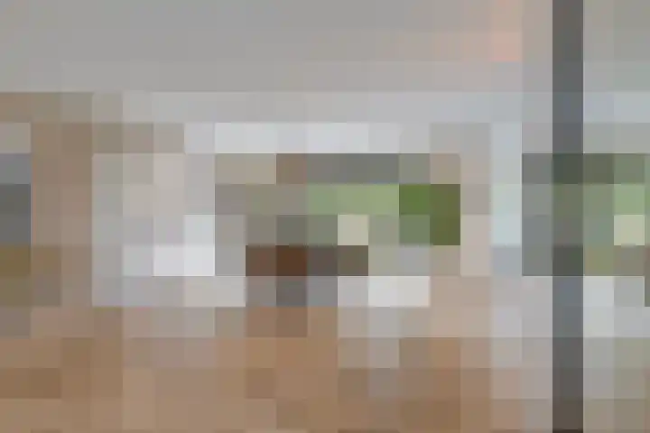 Corrie Vonkplantsoen 31 Spijkenisse thumbnail 8